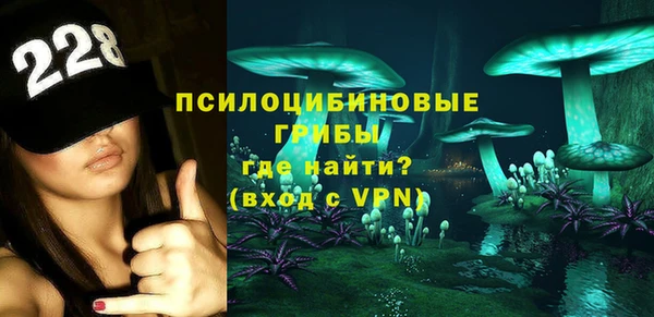 спиды Алексин