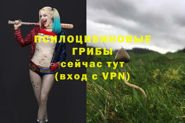бошки Абинск