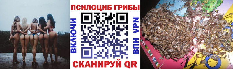 Псилоцибиновые грибы Psilocybine cubensis  blacksprut ТОР  Чишмы 